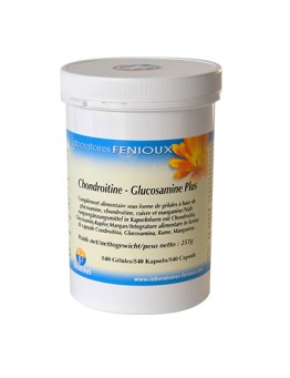 Chondroïtine Glucosamine Plus Cure