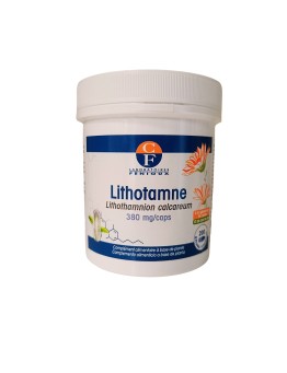 Lithotamne